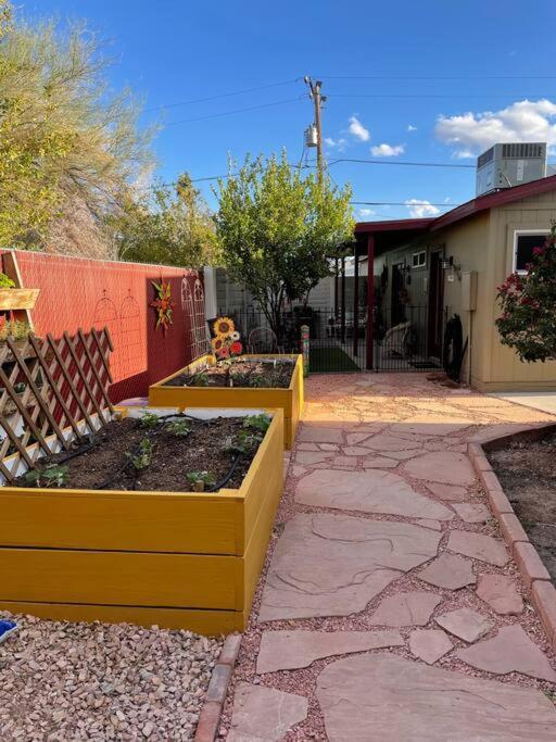 Encanto Cactus Flower Casita 凤凰城 外观 照片